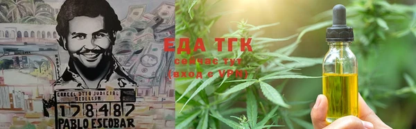 дживик Богородицк