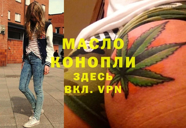 дживик Богородицк