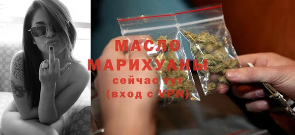 дживик Богородицк