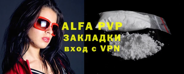 дживик Богородицк