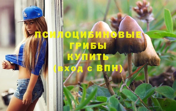 дживик Богородицк
