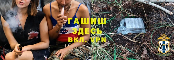дживик Богородицк