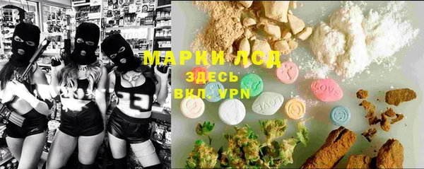 дживик Богородицк
