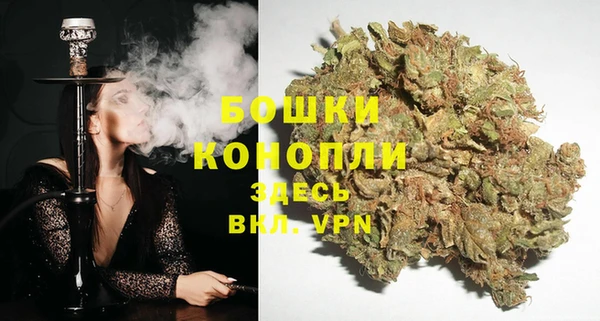 спайс Богданович