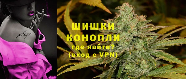 дживик Богородицк
