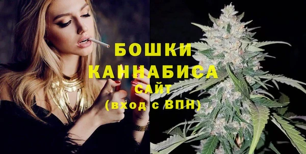 спайс Богданович