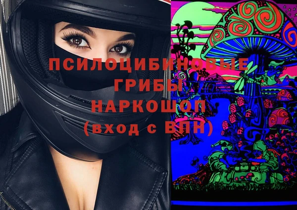 спайс Богданович