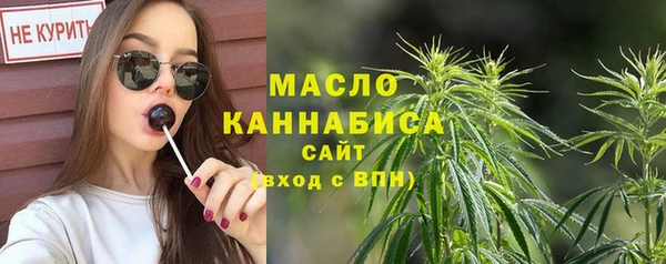 дживик Богородицк