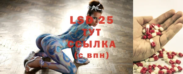 спайс Богданович